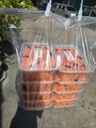 หมี่กรอบทรงเครื่อง *10pcs